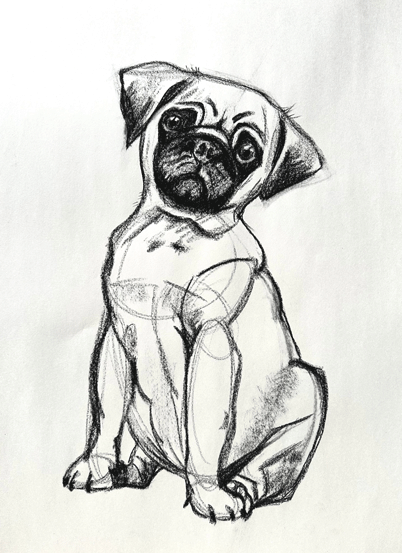 Dog drawn from shapes