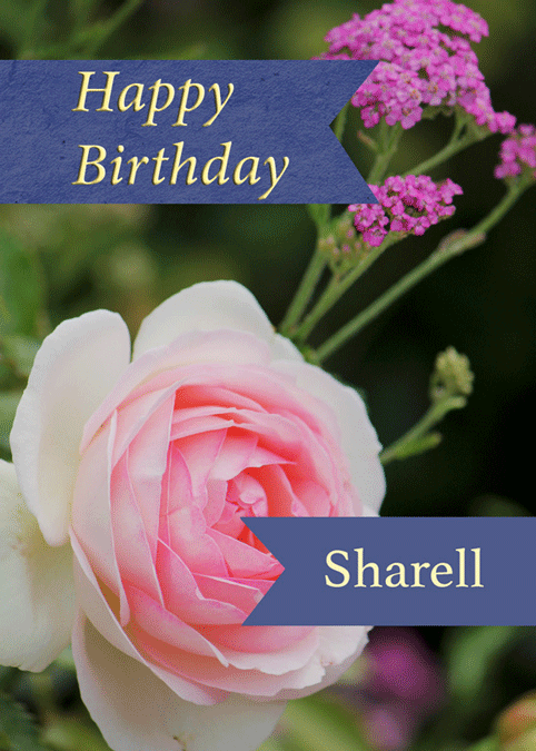 Rose birthday card