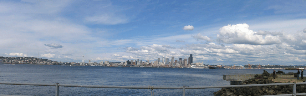 Skyline panoramic of city